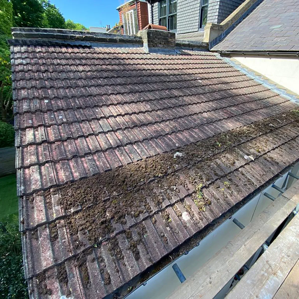 Renewed Forest Hill Roof